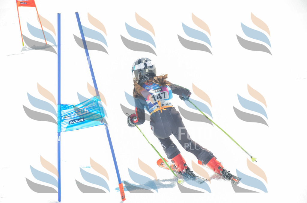 _ELE6278 | holidayphoto