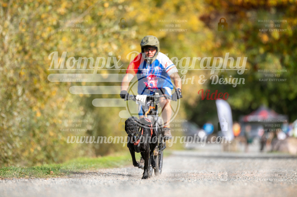 TSB_2023_E2_Bike-59 | PayLife