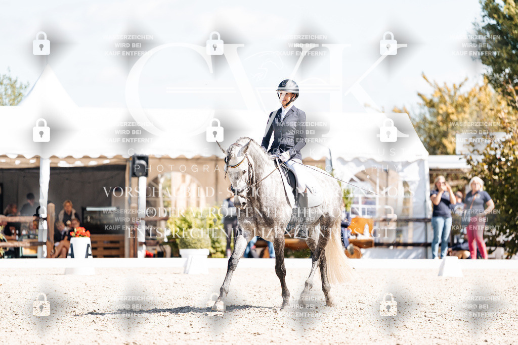 CK903784 | Turnierfotografie Pferdefotografie Trier Rheinland-Pfalz Pferdesport Reitsport Tierfotografie Sportfotografie Pferdevideo Pferdevideografie Equestrianvideography equestrianphotography  - Realisiert mit Pictrs.com