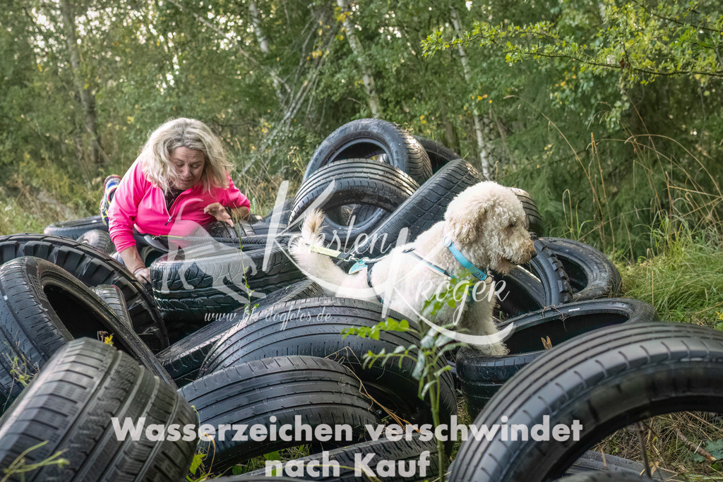 1015_ZZ94157-Bearbeitet | kk-dogfotos