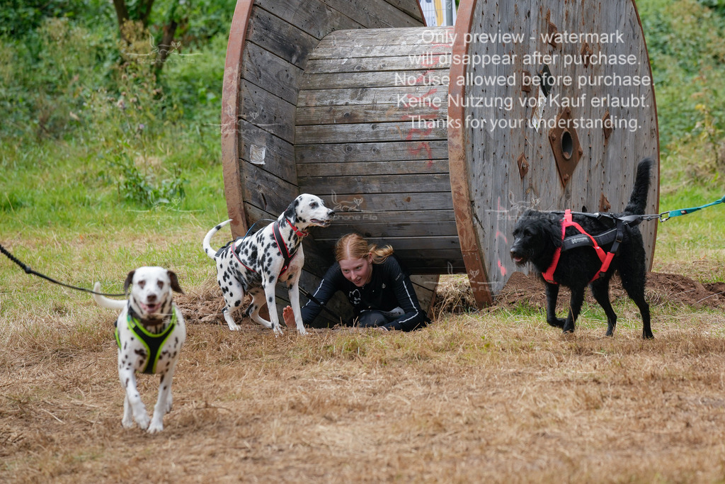 Schlamm_mit_Hund (117 von 460) | stephaniefillaphotographie - Realisiert mit Pictrs.com