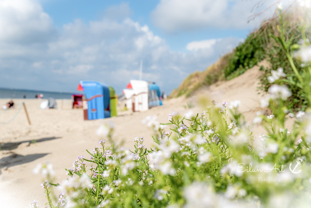C 81 | Eilun-Art-Fotografie Levke Martens, ihre Fotografin für Immobilien- und Landschaftsfotografie auf Föhr, Föhrer Motive als Poster, Leinwand, hinter Acrylglas oder stelle dir deinen eigenen Monatskalender zusammen, mit nur einem Klick