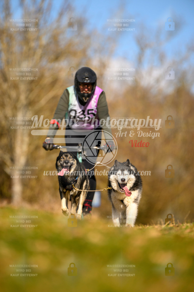 MompixPhotography_10Schwabentrail2026_SO_Scooter-62 | PayLife