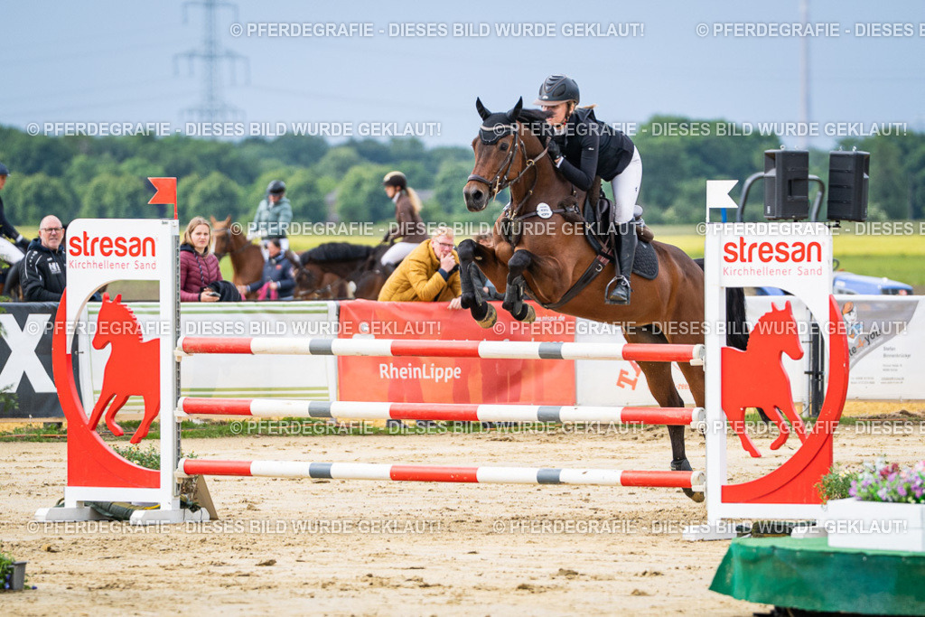 DSC03868 | Pferdegrafie