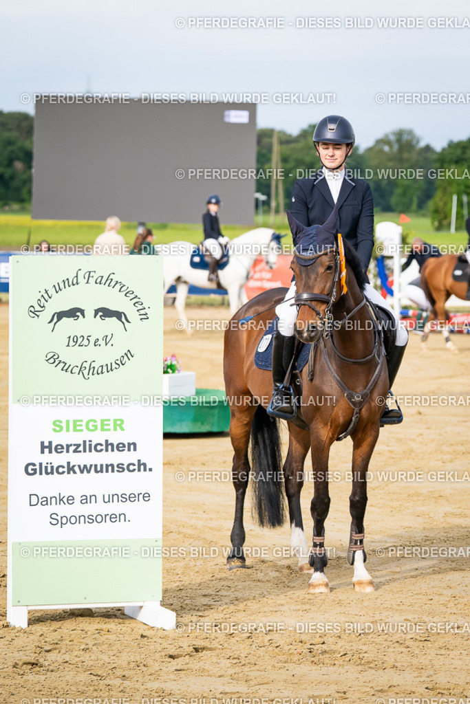 DSC03113 | Pferdegrafie