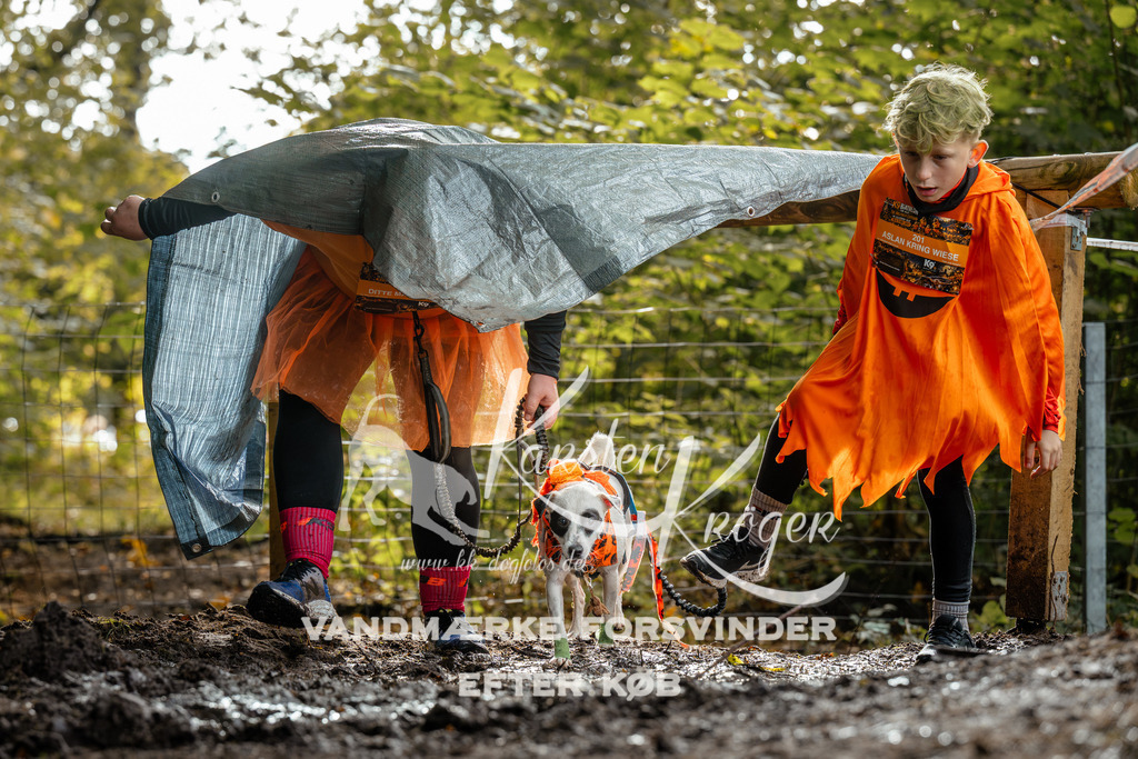 1459DZ6_4159Z6 | kk-dogfotos