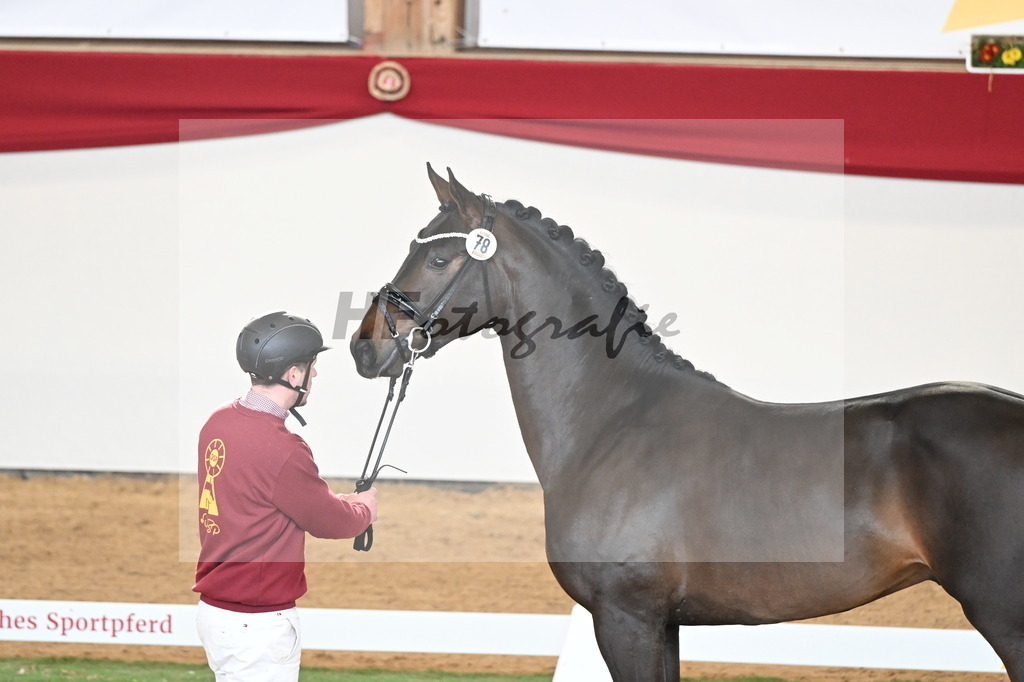 Kat.-Nr. 78 v. Springbank II VH_Reichert_2250740 | hf-fotografie - Realisiert mit Pictrs.com