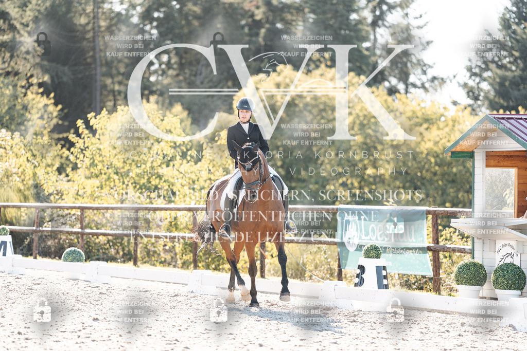 CK906723 | Turnierfotografie Pferdefotografie Trier Rheinland-Pfalz Pferdesport Reitsport Tierfotografie Sportfotografie Pferdevideo Pferdevideografie Equestrianvideography equestrianphotography  - Realisiert mit Pictrs.com