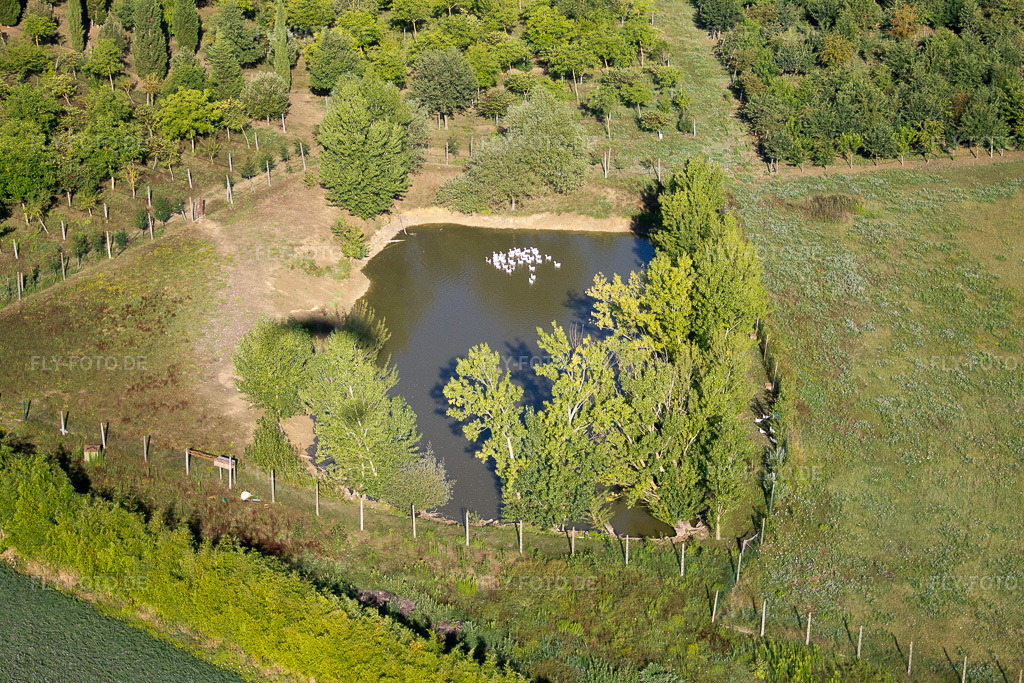 Luftbild: Ortsansicht in Creti im Bundesland Toscana in Italien. Foto: IMG_43818.jpg vom 29.07.2011 durch Werner Riehm/FLY-FOTO.de