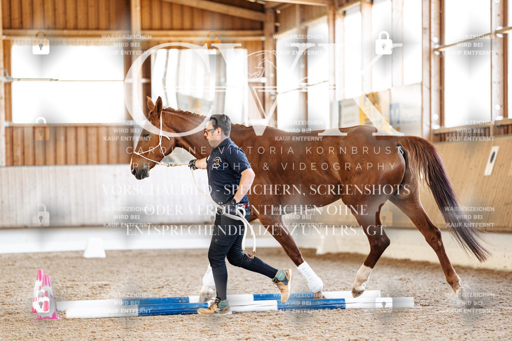 CK905808 | Turnierfotografie Pferdefotografie Trier Rheinland-Pfalz Pferdesport Reitsport Tierfotografie Sportfotografie Pferdevideo Pferdevideografie Equestrianvideography equestrianphotography  - Realisiert mit Pictrs.com