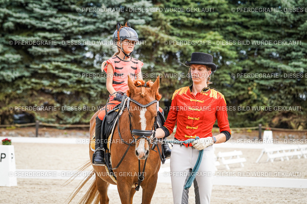 DSC03196 | Pferdegrafie