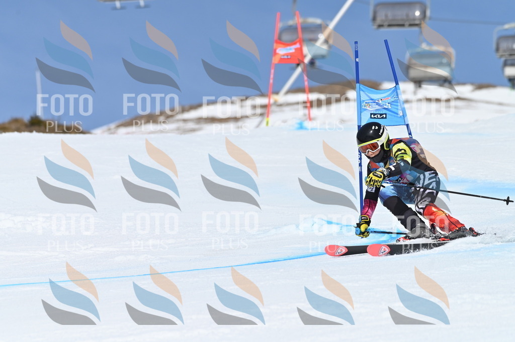 BGV_0771 | holidayphoto