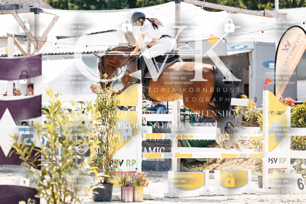 CK908081 | Turnierfotografie Pferdefotografie Trier Rheinland-Pfalz Pferdesport Reitsport Tierfotografie Sportfotografie Pferdevideo Pferdevideografie Equestrianvideography equestrianphotography  - Realisiert mit Pictrs.com