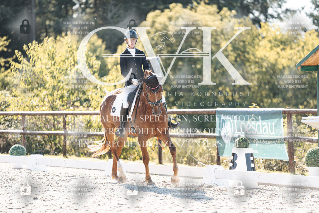 CK906628 | Turnierfotografie Pferdefotografie Trier Rheinland-Pfalz Pferdesport Reitsport Tierfotografie Sportfotografie Pferdevideo Pferdevideografie Equestrianvideography equestrianphotography  - Realisiert mit Pictrs.com