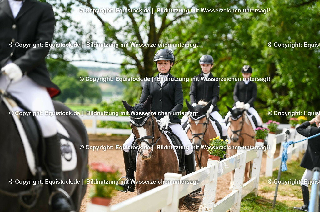 20230716_10-1_Reiter-WB Schritt - Trab - Galopp_0073 | equistock