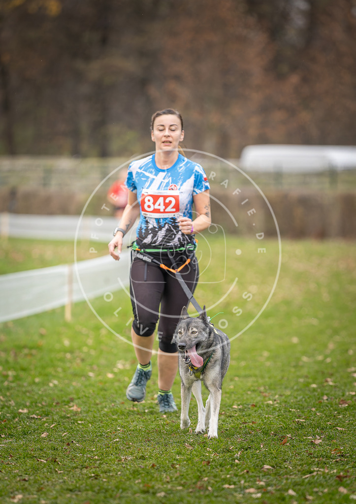 CaniXpix_DV3A6534 | Hundefotografie, Tierfotograf, Pfotenfotografie, Fotoshooting Hund, Hunde Portrait, Hundesport, Hundeportraits, Heideshooting, Hunde, Sportfotograf, Hundefotograf, Turnierhundsport, THS,  - Realisiert mit Pictrs.com