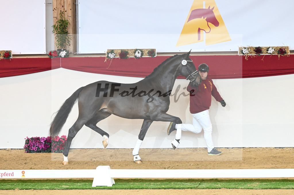 Kat-Nr. 62 Le Formidable_Rothenberger_1230363 | hf-fotografie - Realizzato con Pictrs.com