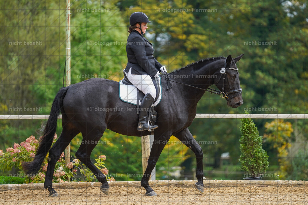20221007-FAH09822 | Diessen am Ammersee, 2022, Dressur- und Springturnier, Reitsportbilder, Turnierfotografen Bayern, Pferdefotografen, Fotoagentur Herrmann, Turnierbilder