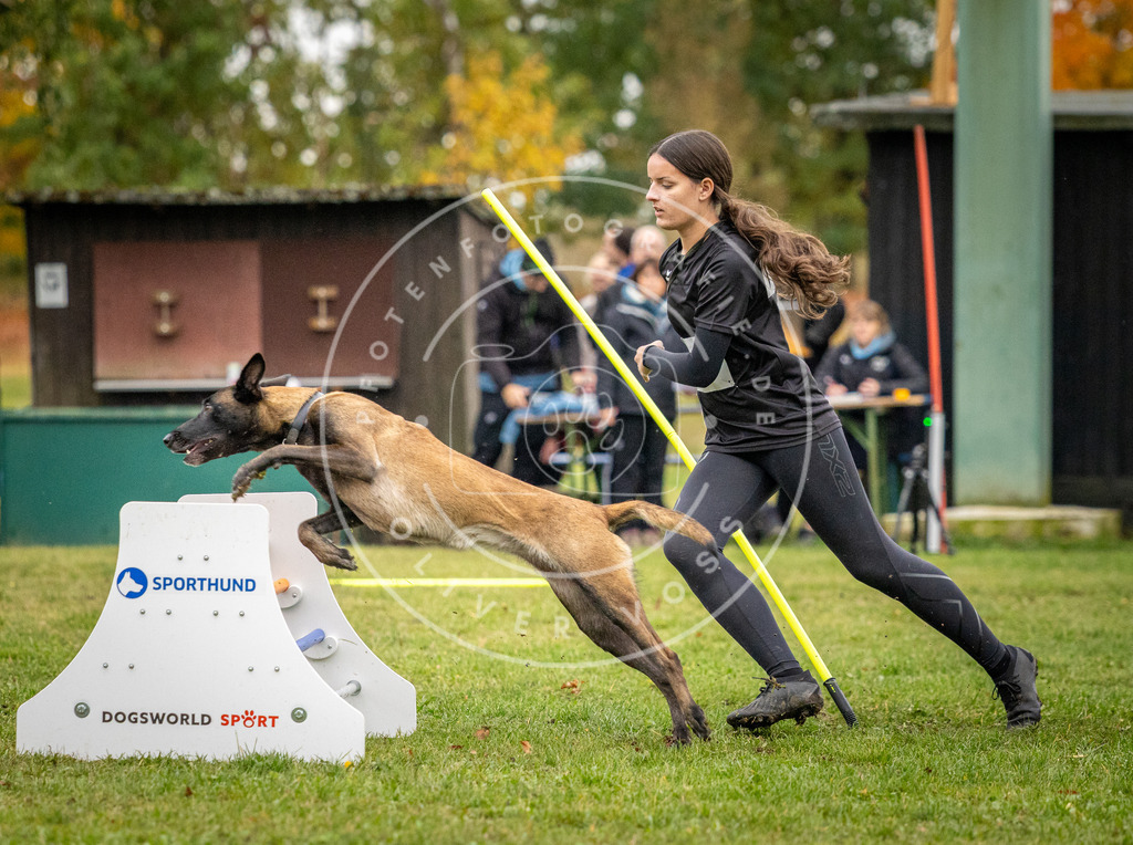 Pfotenfotografie_DV3A0455 | Hundefotografie, Tierfotograf, Pfotenfotografie, Fotoshooting Hund, Hunde Portrait, Hundesport, Hundeportraits, Heideshooting, Hunde, Sportfotograf, Hundefotograf, Turnierhundsport, THS,  - Realisiert mit Pictrs.com