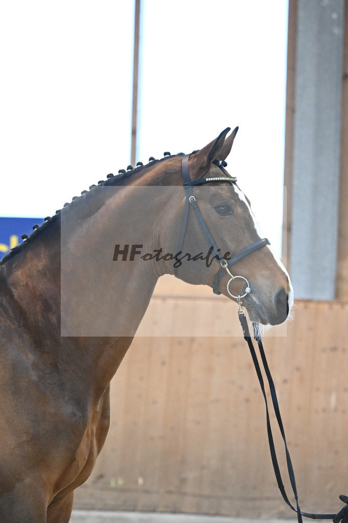 Sanvaro_7240718 | hf-fotografie - Realisiert mit Pictrs.com