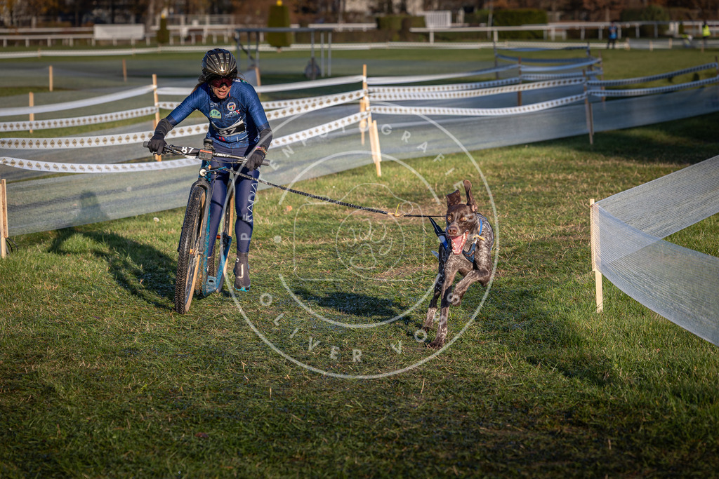 CaniXpix_0L8A3817 | Hundefotografie, Tierfotograf, Pfotenfotografie, Fotoshooting Hund, Hunde Portrait, Hundesport, Hundeportraits, Heideshooting, Hunde, Sportfotograf, Hundefotograf, Turnierhundsport, THS,  - Realisiert mit Pictrs.com