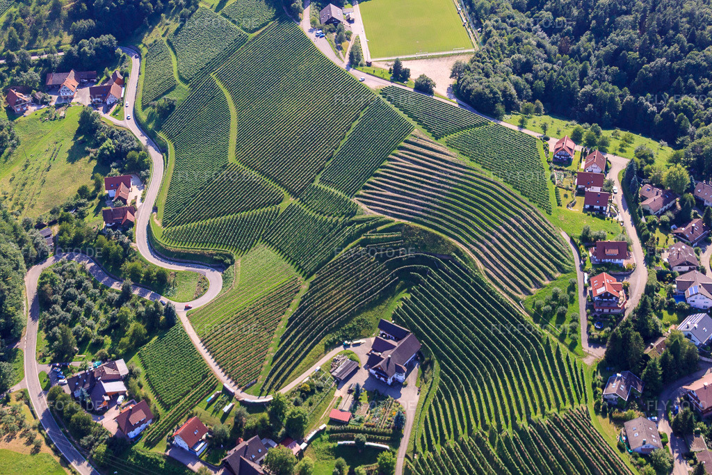 Luftbild: Kappelrodeck, Weinberge bei Bernhardshöfe im Ortsteil Büchelbach in Sasbachwalden im Bundesland Baden-Württemberg in Deutschland. Foto: IMG_31492.jpg vom 09.08.2010 durch Werner Riehm/FLY-FOTO.de