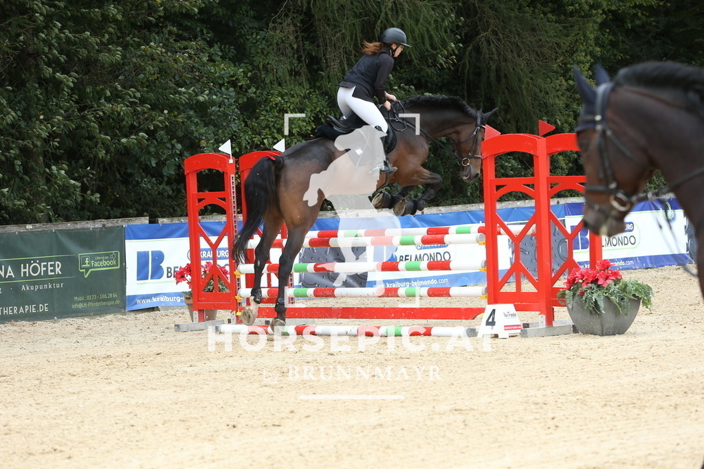 DL2Q1943 | Willkommen bei Brunnmayr - Design & Fotografie – Ihrem Spezialisten für Reitturniere und Pferdeveranstaltungen in Oberösterreich, Salzburg und Bayern! Seit über 17 Jahren sind wir leidenschaftlich dabei.