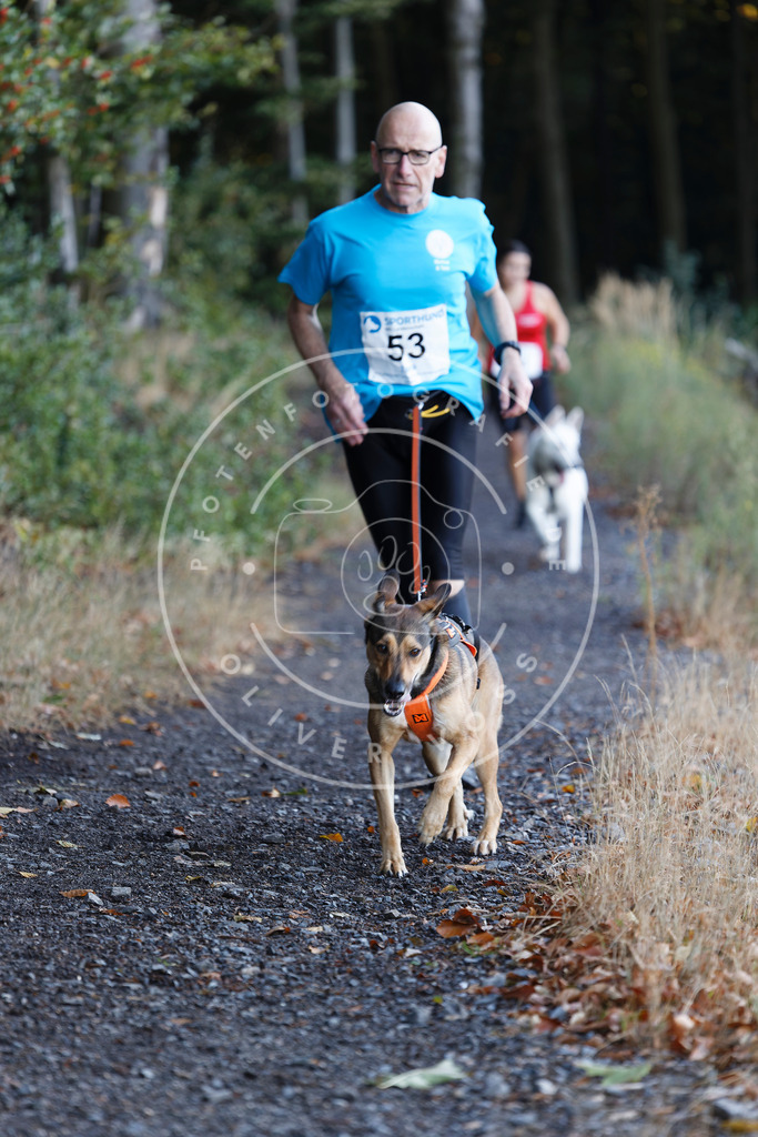 0L8A1807 | Hundefotografie, Tierfotograf, Pfotenfotografie, Fotoshooting Hund, Hunde Portrait, Hundesport, Hundeportraits, Heideshooting, Hunde, Sportfotograf, Hundefotograf, Turnierhundsport, THS,  - Realisiert mit Pictrs.com