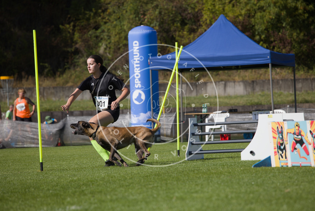 0L8A7734 | Hundefotografie, Tierfotograf, Pfotenfotografie, Fotoshooting Hund, Hunde Portrait, Hundesport, Hundeportraits, Heideshooting, Hunde, Sportfotograf, Hundefotograf, Turnierhundsport, THS,  - Realisiert mit Pictrs.com