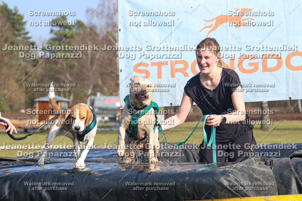 Dog Paparazzi - Strongdog North Mrz26-3185 | Dog Paparazzi Jeanette Grottendiek Fotografie & Videografie - Realisiert mit Pictrs.com