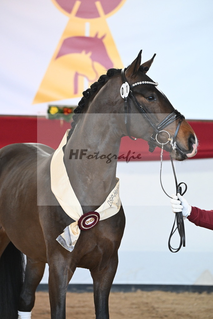 Kat.-Nr. 71 v. Va Bene_Müller_2242656 | hf-fotografie - Realisiert mit Pictrs.com