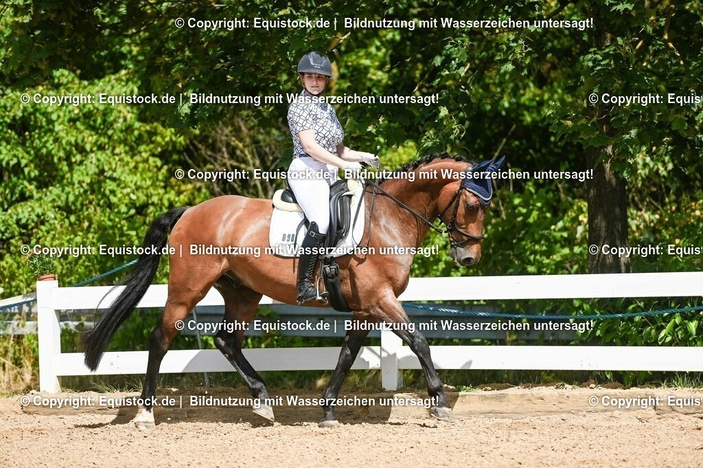 20230715_02_Dressurreiterprüfung Kl.L_0140 | equistock