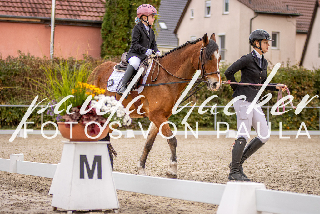 IMG_3974 | Erleben Sie dynamische Sport- und emotionale Tierfotografie in Süddeutschland mit Fotos von Paula. Spezialisiert auf Pferde- und Hundefotografie sowie Sportevents. Kontaktieren Sie mich für einzigartige und ausdrucksstarke Bilder Ihrer besonderen Momente.