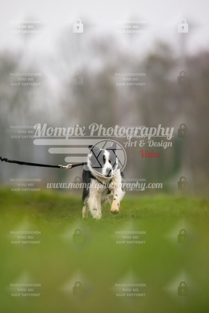 MompixPhotography_CDF2023_FFST_Di_Bike1-133 | PayLife