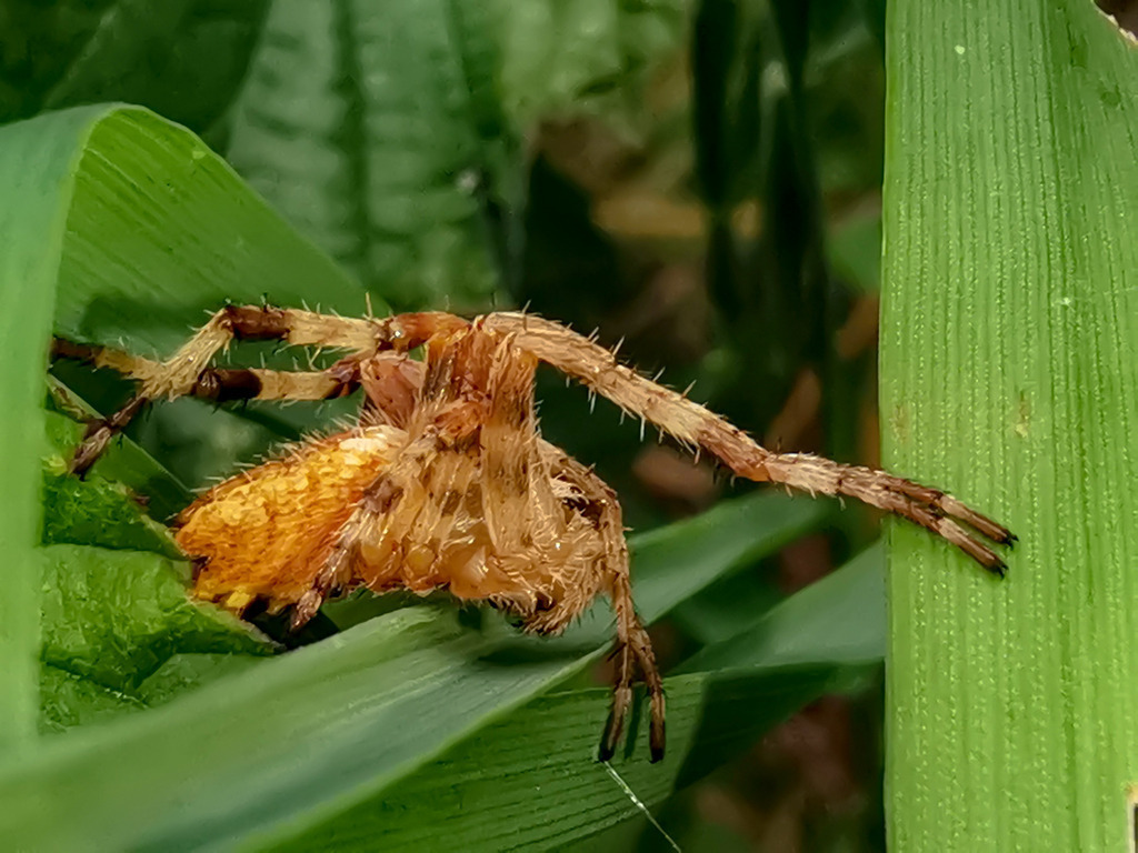 PSX_20230831_213548 | mtkfoto_ - Realisiert mit Pictrs.com