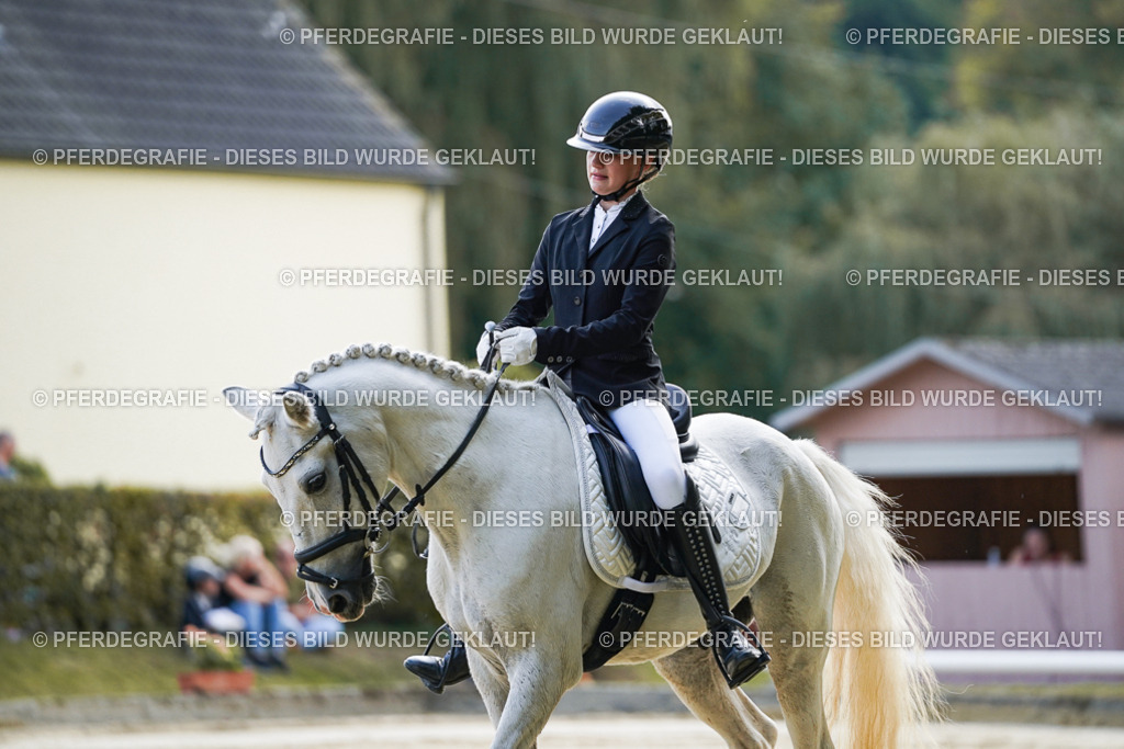 DSC05309 | Pferdegrafie