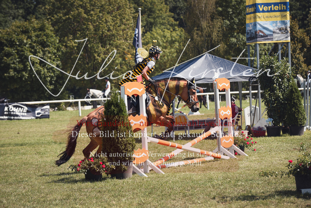 DSC_0284 | Pferde- und Turnierfotografie in Westsachsen. Pferdeportraits, Auftragszeichnungen und intuitive Kunst.