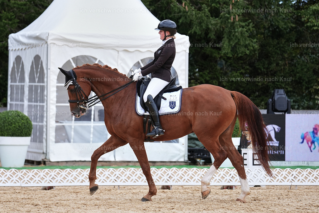 3-210-Dressur M_-Marixx-1976 | working equitationturnier fotograf videograf stoibphotography marixx film working equitation deutschland reitsport turnierfotografie eventfotografie equestrian events