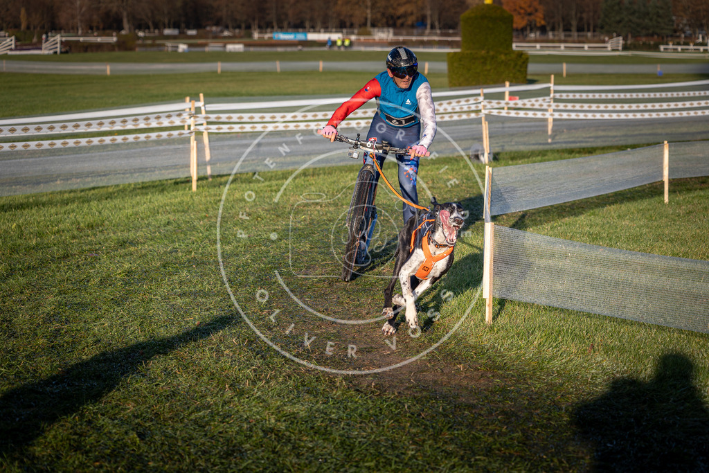 CaniXpix_0L8A3104 | Hundefotografie, Tierfotograf, Pfotenfotografie, Fotoshooting Hund, Hunde Portrait, Hundesport, Hundeportraits, Heideshooting, Hunde, Sportfotograf, Hundefotograf, Turnierhundsport, THS,  - Realisiert mit Pictrs.com