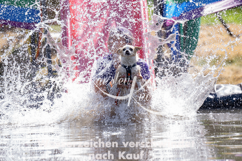1416_ZZ94117 | kk-dogfotos