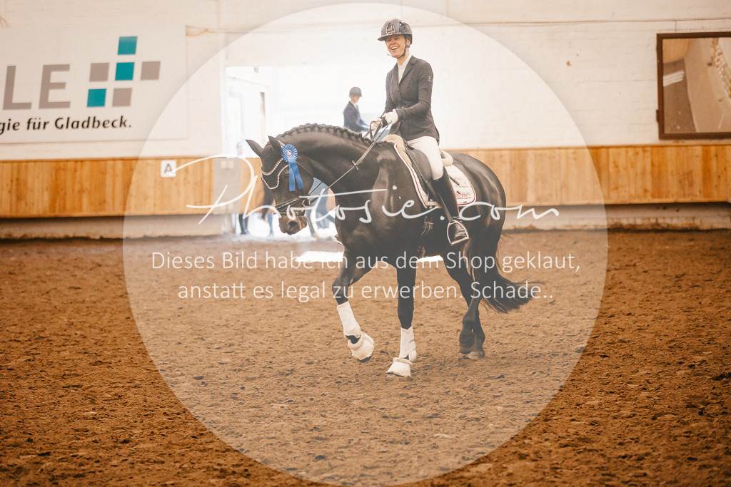 3I6A2145 | Stimmungsvolle Portraits und Reitsportfotografie im Ruhrgebiet und im Münsterland.

Pferdefotografie, Hundefotografie, Tierfotografie, Reportagen, Portraits von Tier und Mensch, Turnierfotografie in Bochum, Recklinghausen, Marl, Haltern am See, Dülmen.. - Realisiert mit Pictrs.com