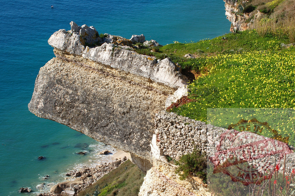 Coastal cliff with wildflowers overlooking blue sea | Coastal landscape with a rocky cliff overhanging a small beach and ocean waves - Realisiert mit Pictrs.com