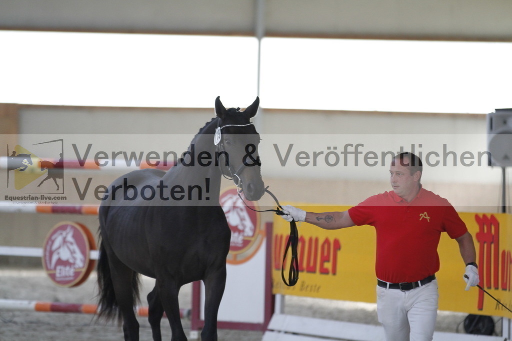 _MG_0579 | equestrian-live-com