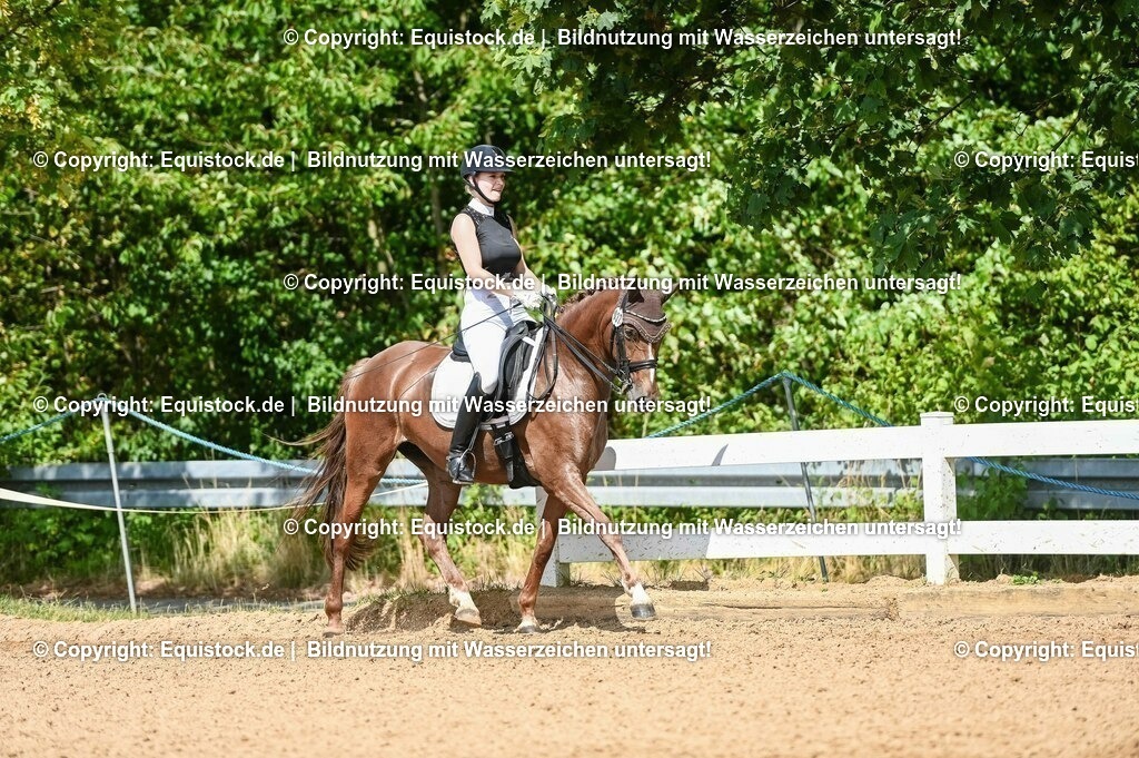 20230716_01_Dressurprüfung Kl.M_0319 | equistock