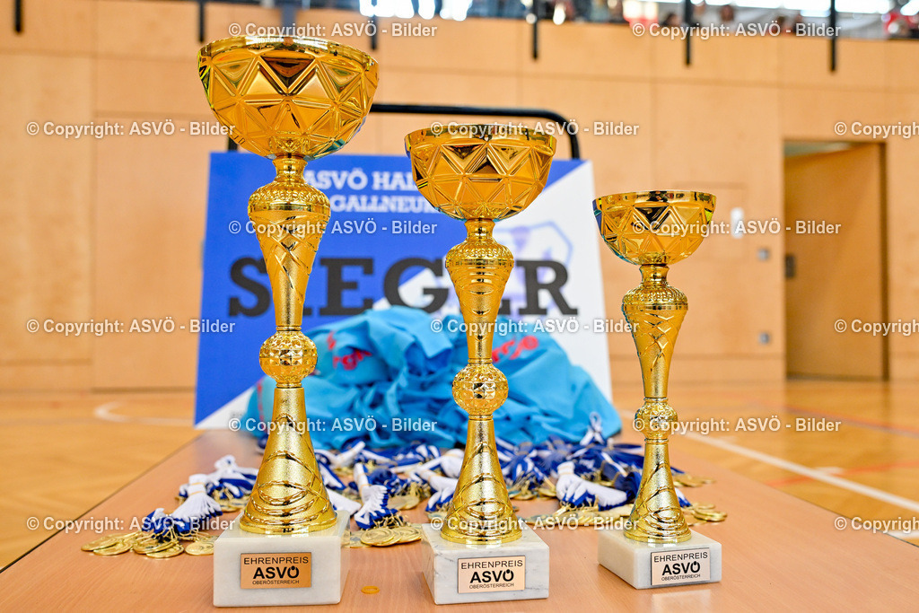 ASVÖ_ Fussballturnier SV Gallneukirchen_ 09.02.2025-151 | 09.02.2025, Gallneukirchen, AUT, ASVÖ, Fussball Nachwuchs Hallenturnier 2025, SV Gallneukirchen im Bild Teilnehmer U 9©Harald Dostal / fodo.media - Realisiert mit Pictrs.com