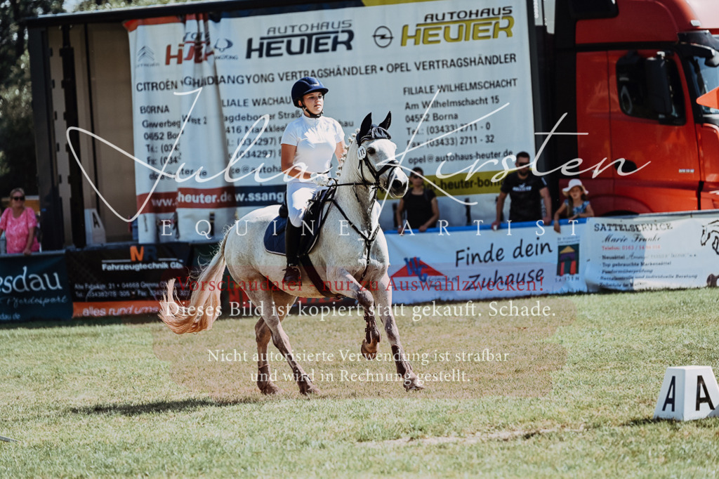 DSC_6113 | Pferde- und Turnierfotografie in Westsachsen. Pferdeportraits, Auftragszeichnungen und intuitive Kunst.
