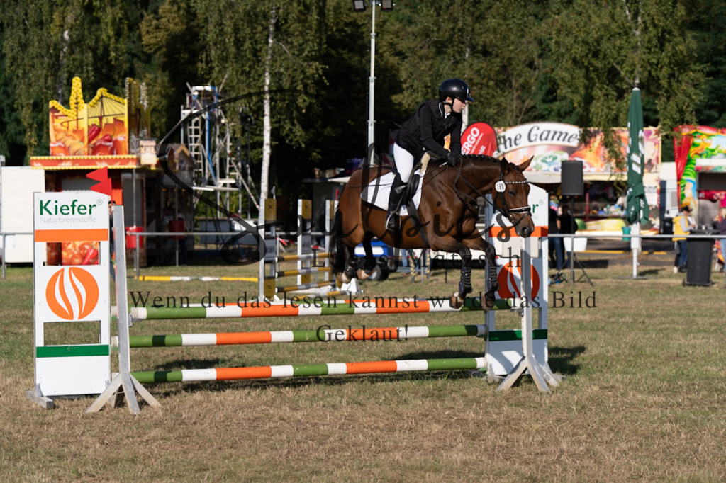 A7V08234 | Pferdefotograf