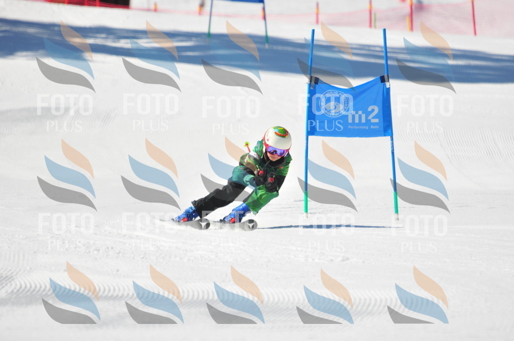 C3605 | holidayphoto