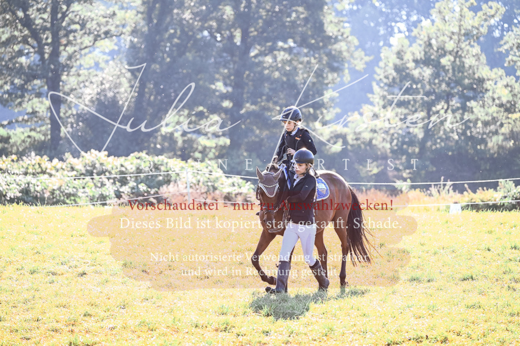 DSC_0225 | Pferde- und Turnierfotografie in Westsachsen. Pferdeportraits, Auftragszeichnungen und intuitive Kunst.