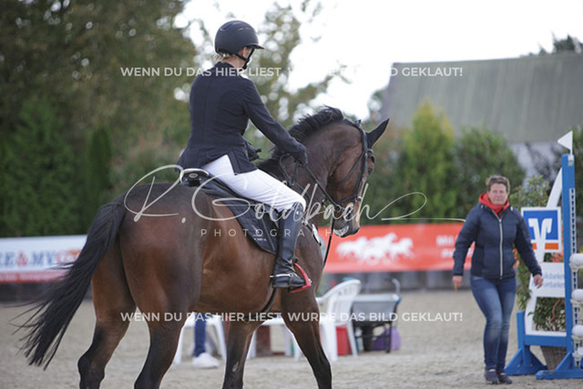 1J2A5296Britta Braunert_ Congettano Blue PS_ Kn267_ Havekost | Foto- und Videografie für alles rund ums Pferd. Hochwertige Bilder und Videos vom Spring- und Dressurreiten, Voltigieren & mehr. Jetzt aktuelle Veranstaltungen und Preise im Shop ansehen. - Realisiert mit Pictrs.com